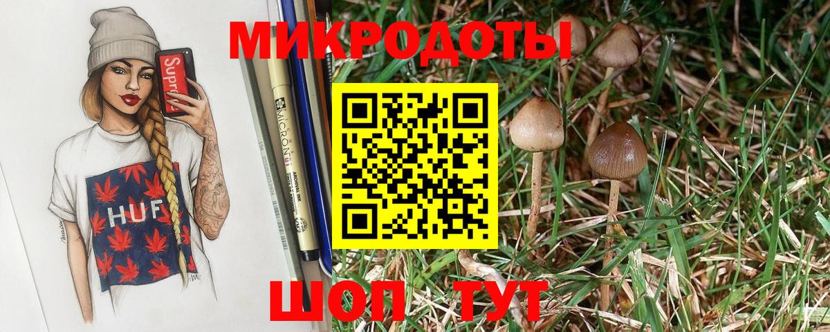 Галлюциногенные грибы Psilocybine cubensis  Вход с VPN  где купить   Сертолово  Галлюциногенные грибы прущие грибы 